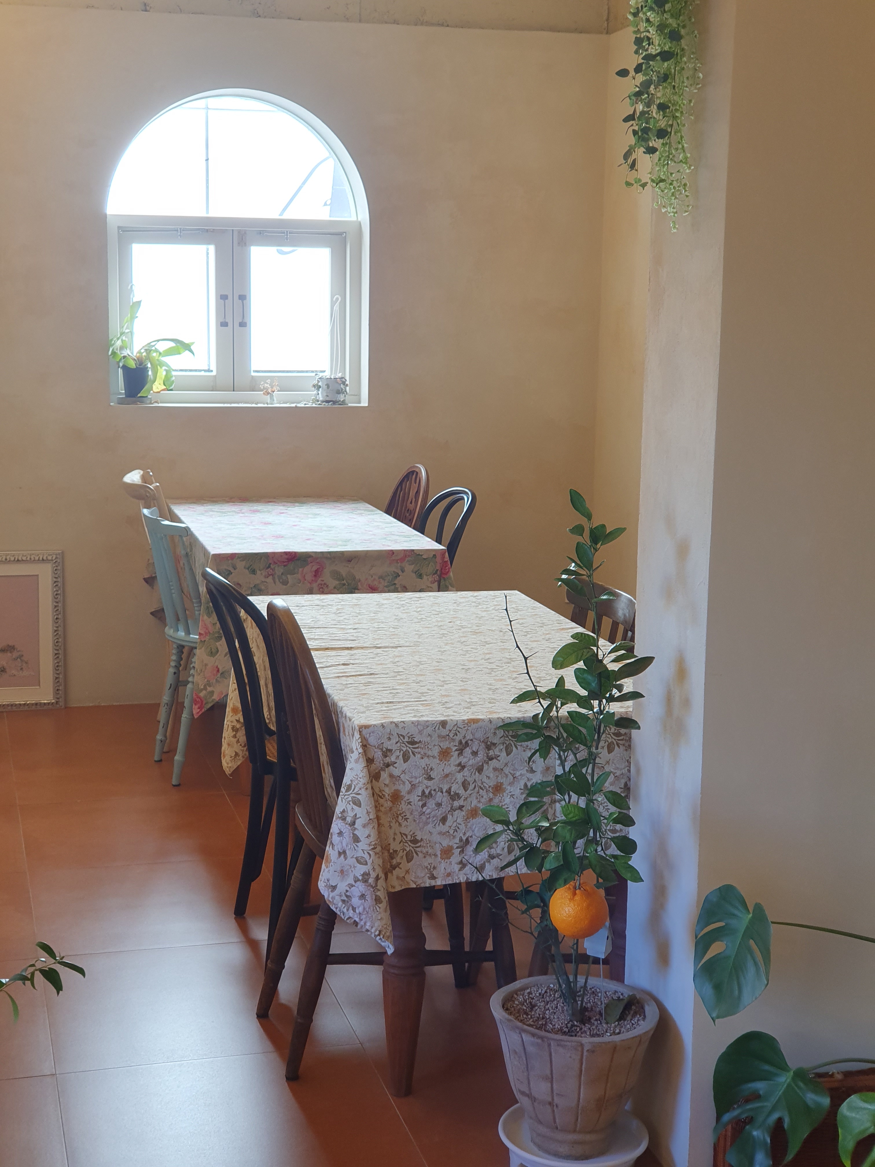 소히아녹 대표 이미지