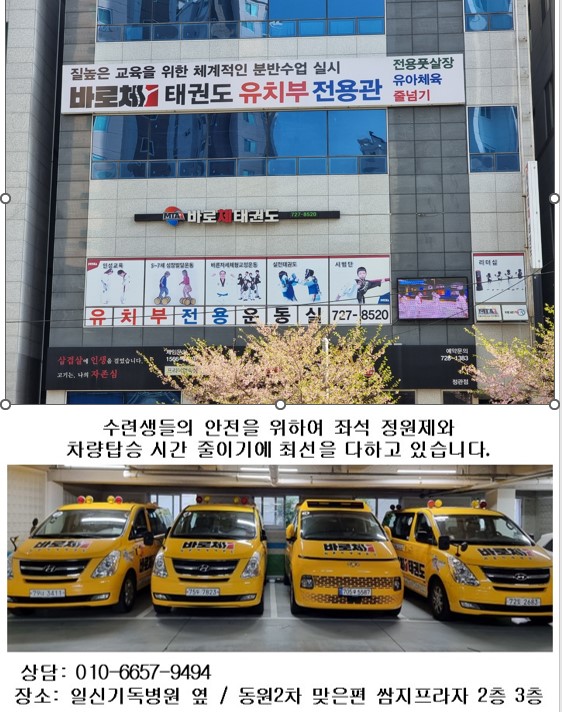 바로체 태권도