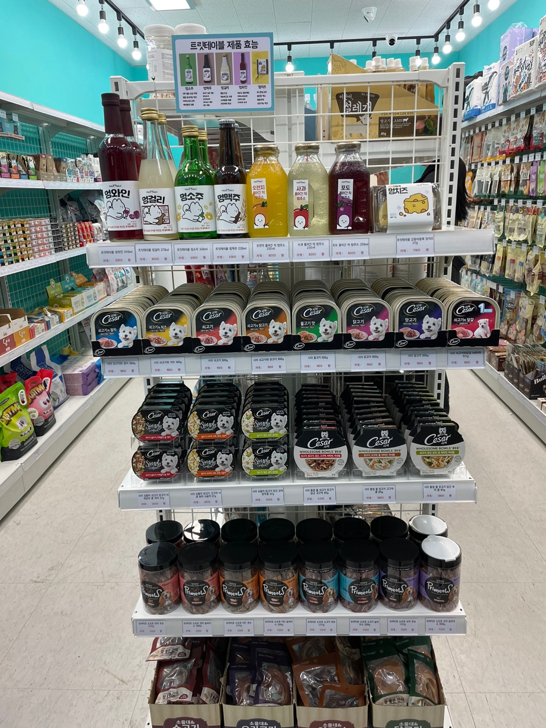 멍냥의민족 대표 이미지