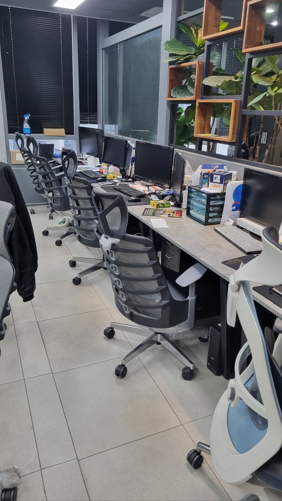 대전중고차매입성진 대표 이미지