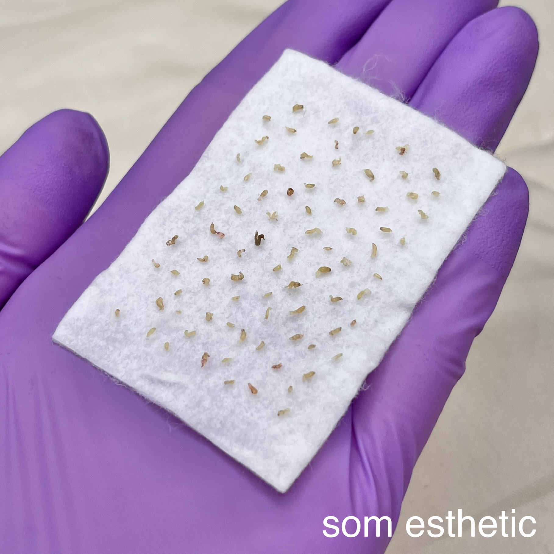 솜에스테틱 대표 이미지