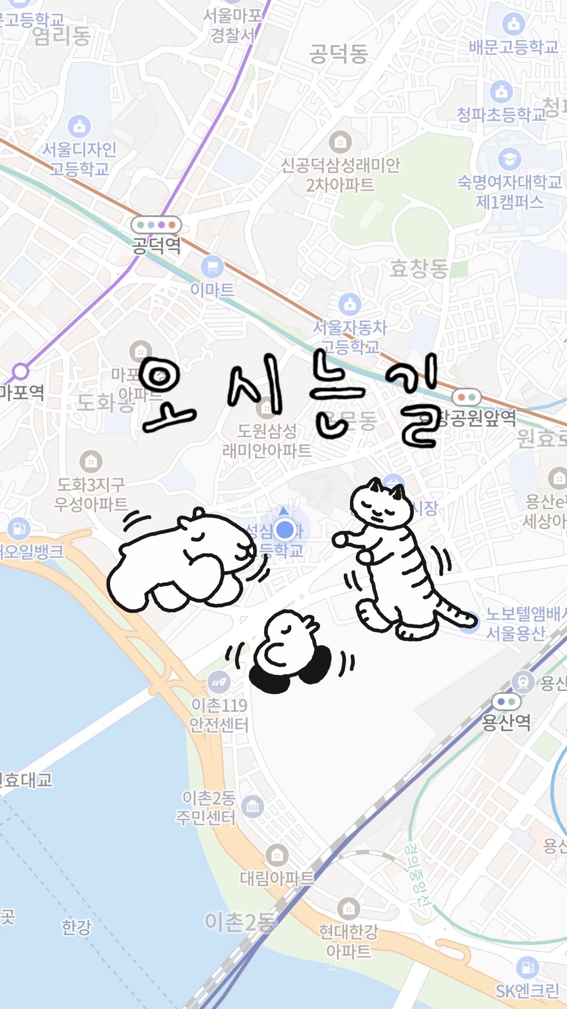 흐리마리 카페의 아늑한 내부 모습