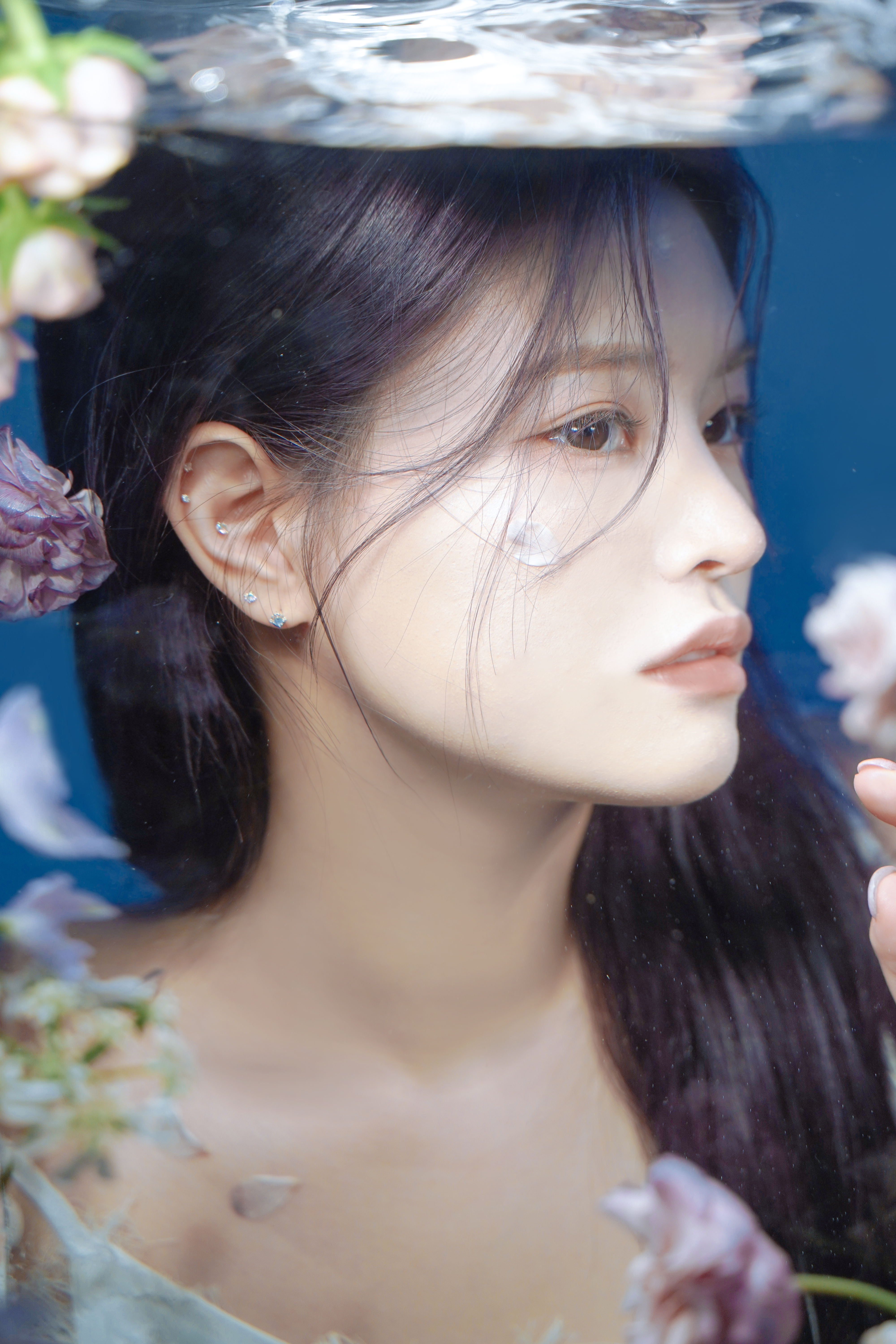 설렘송이 내부 또는 관련 모습