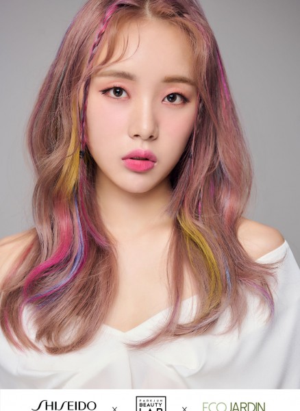 에코