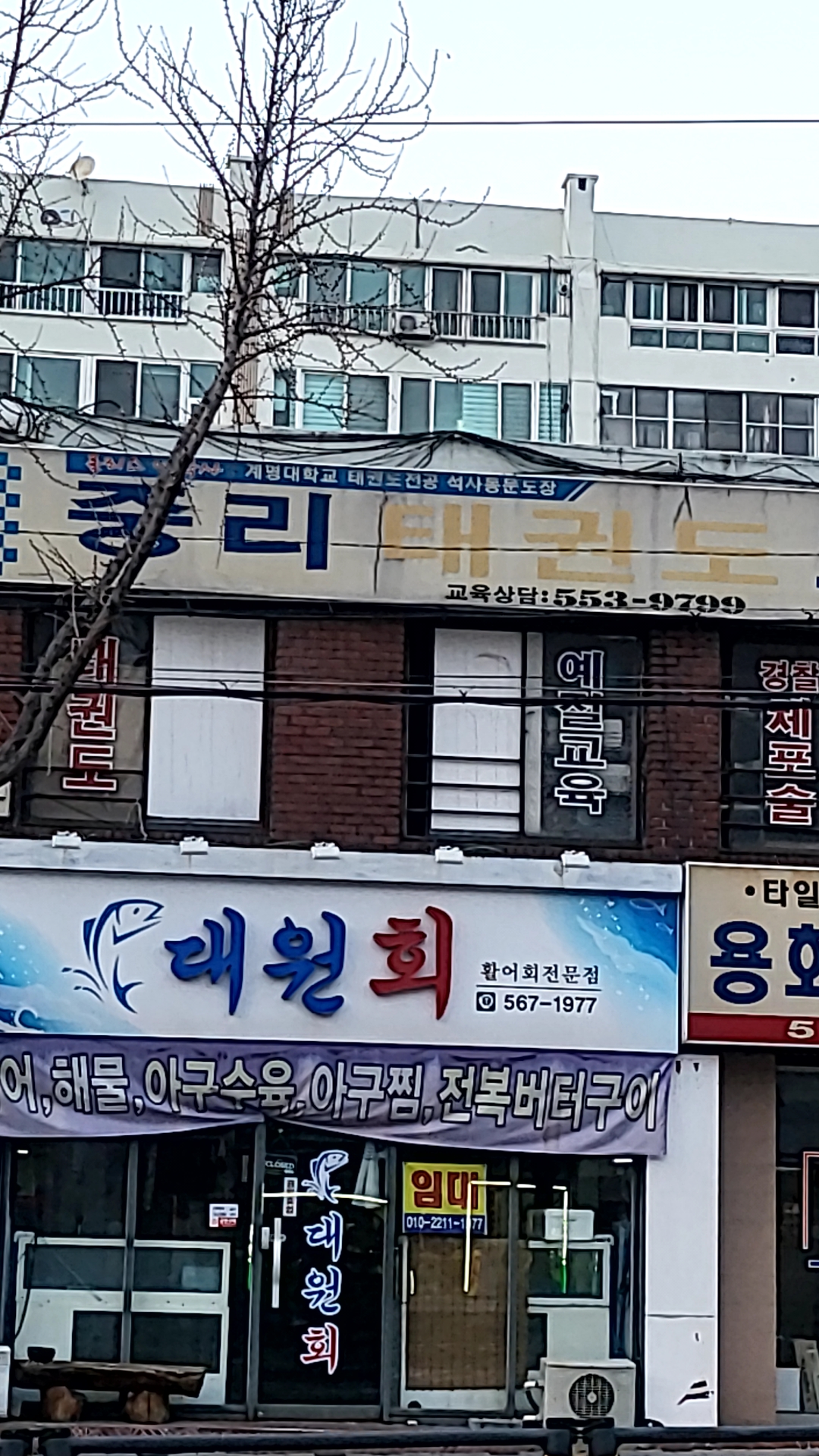 중리태권도