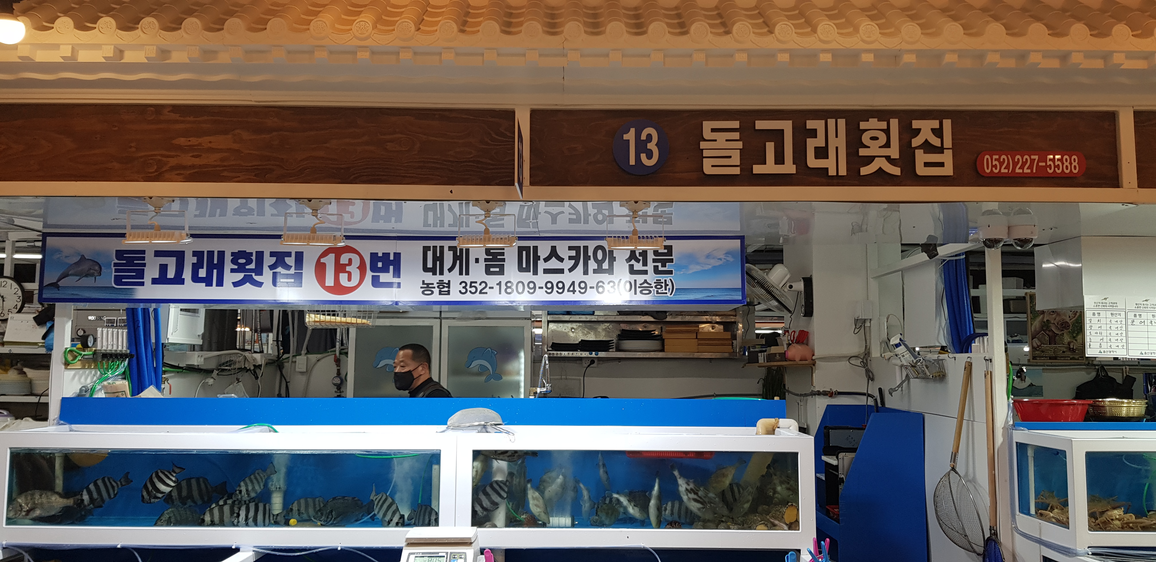 돌고래횟집