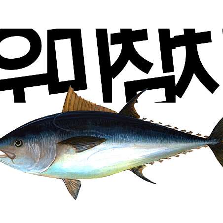 우미참치