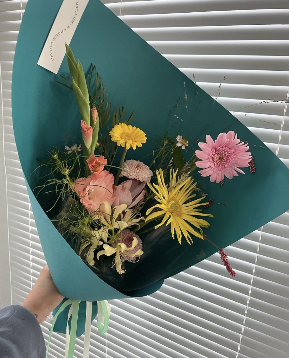 더소프터사이드 대표 이미지