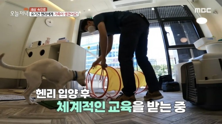 하이반려동물행동클리닉 고양 대표 이미지