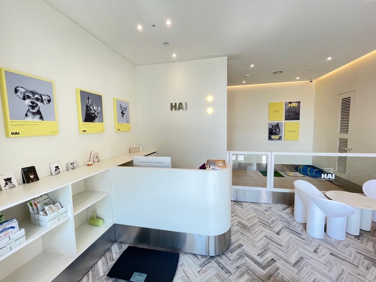 하이반려동물행동클리닉 대표 이미지