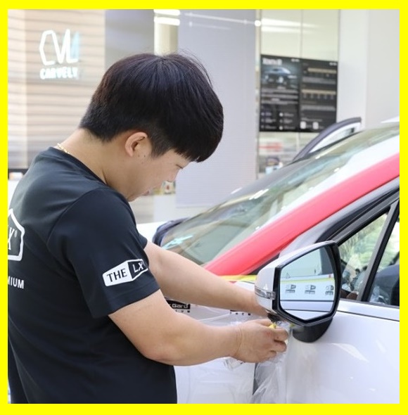 THE LX 솔라가드프리미엄 카블리