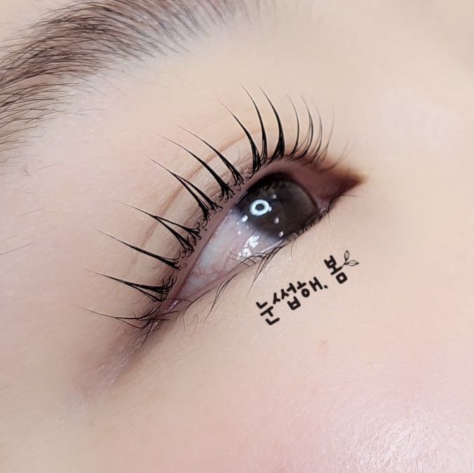 눈썹해봄