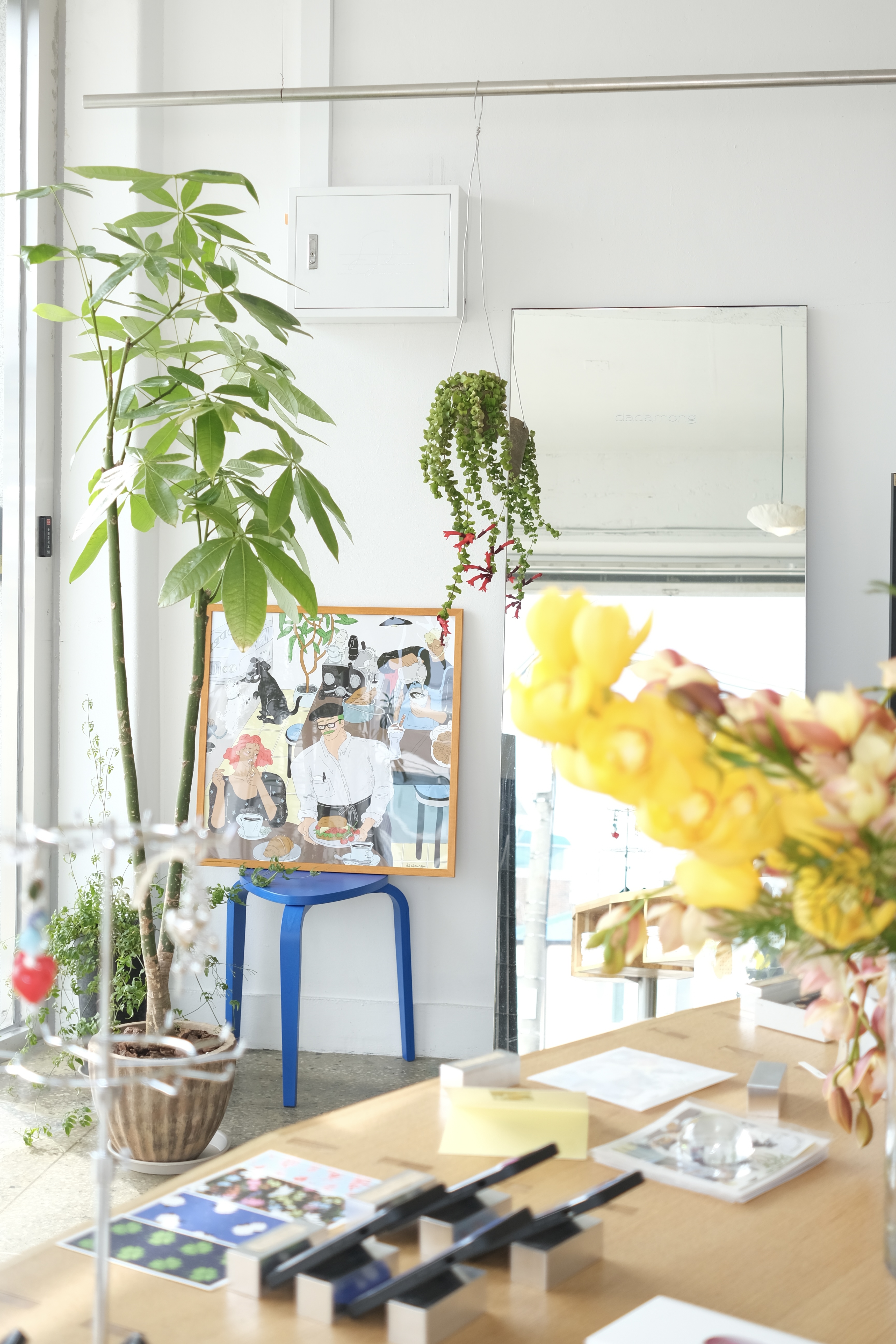 다다몽 대표 이미지