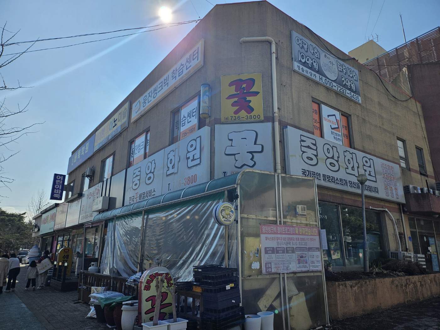 중앙화원