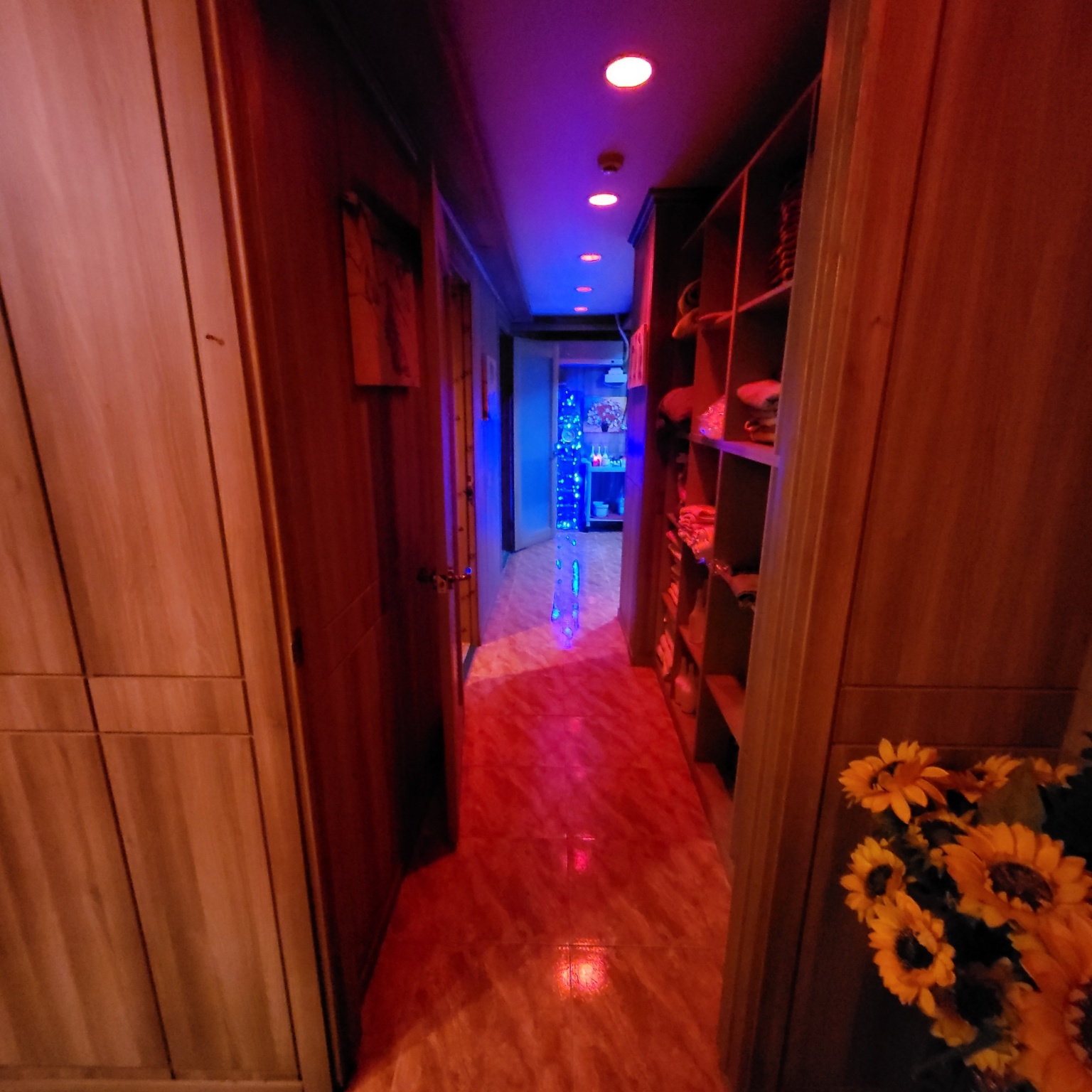 해오름 photo 3