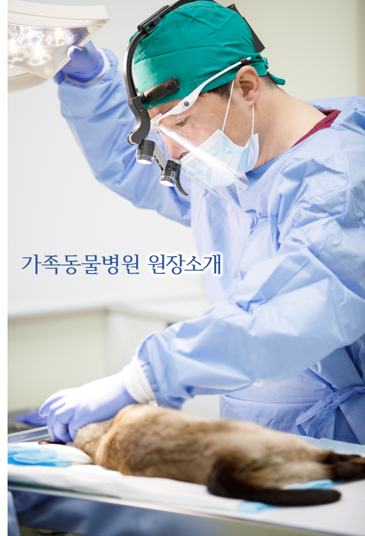 가족동물병원 군산점