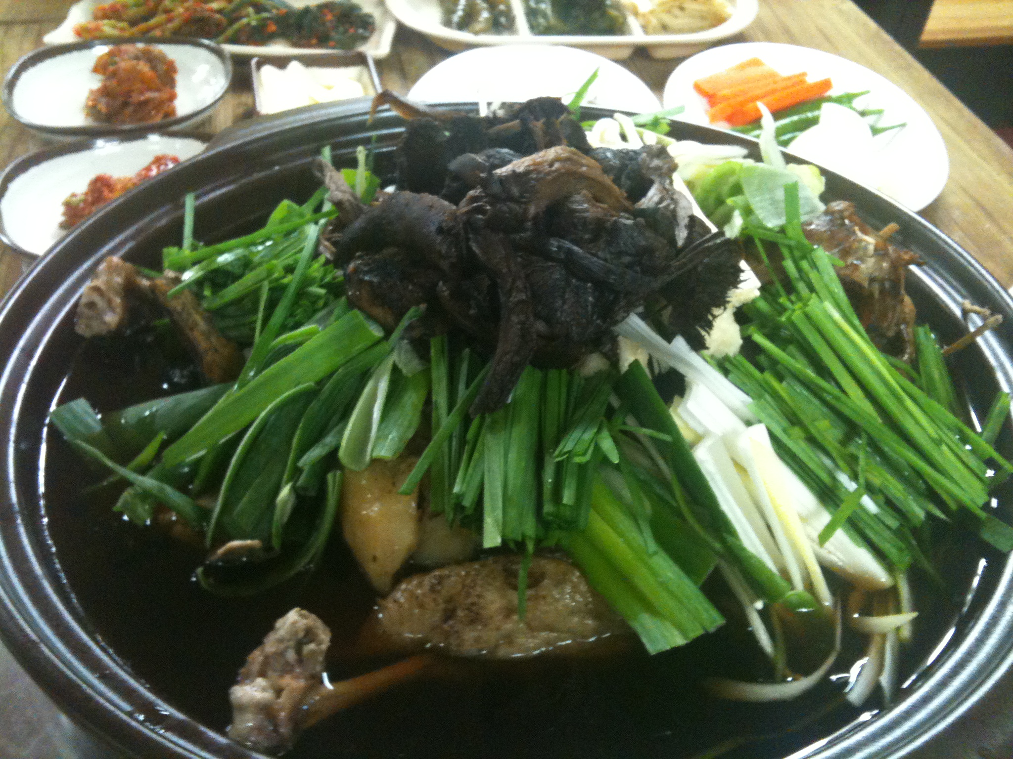 모두닭오리
