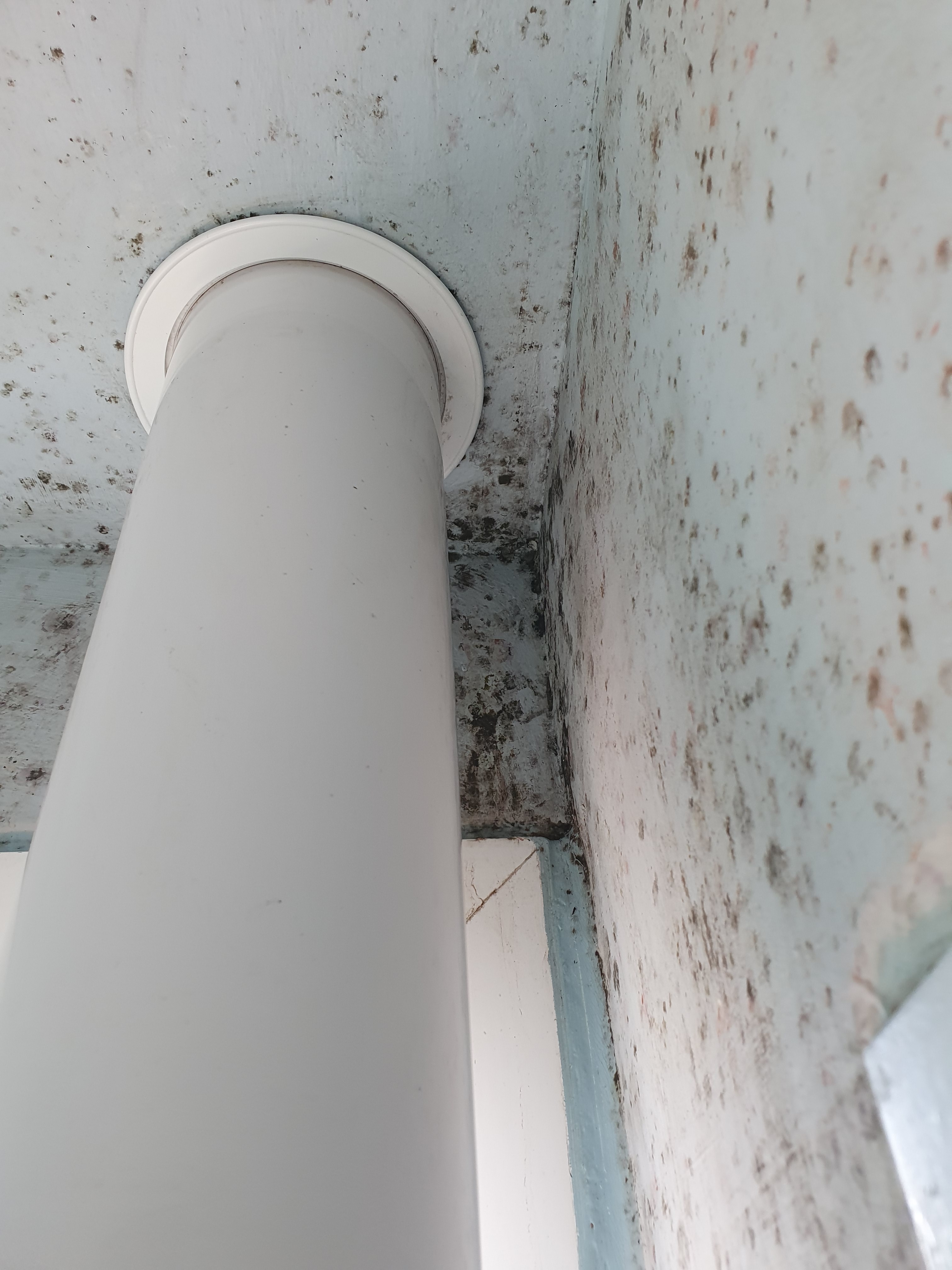 미라클 탄성줄눈 대표 이미지