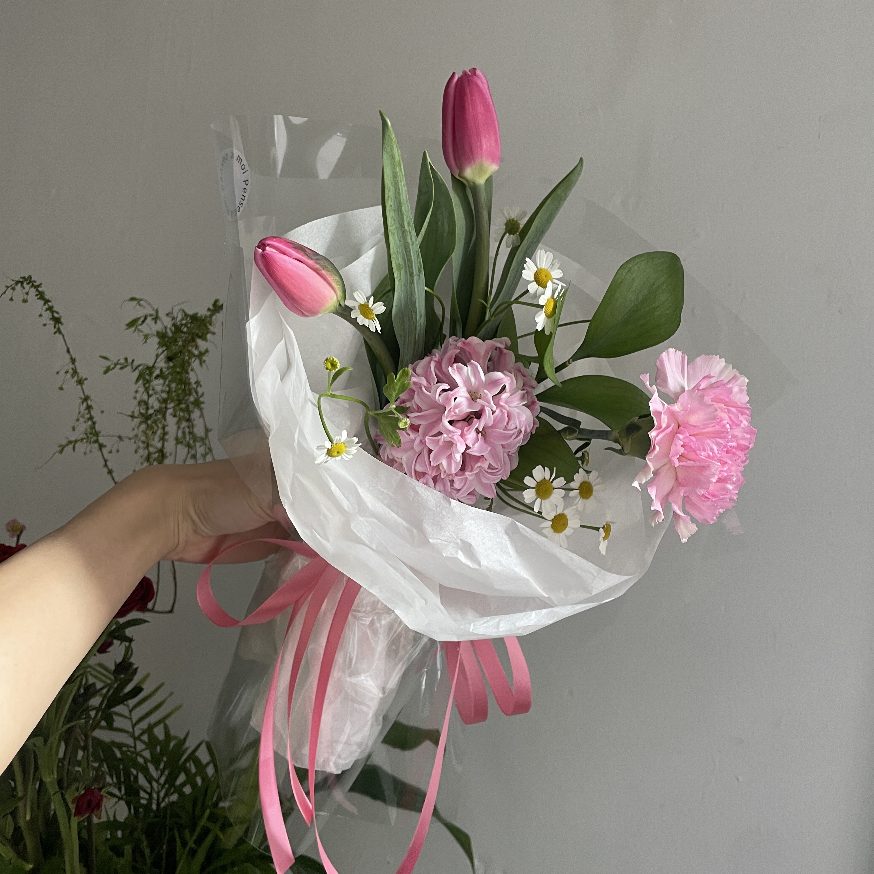 팡세아모아