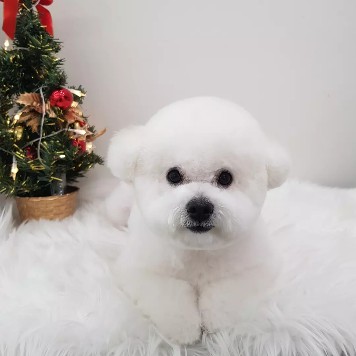 와르아르 대표 이미지
