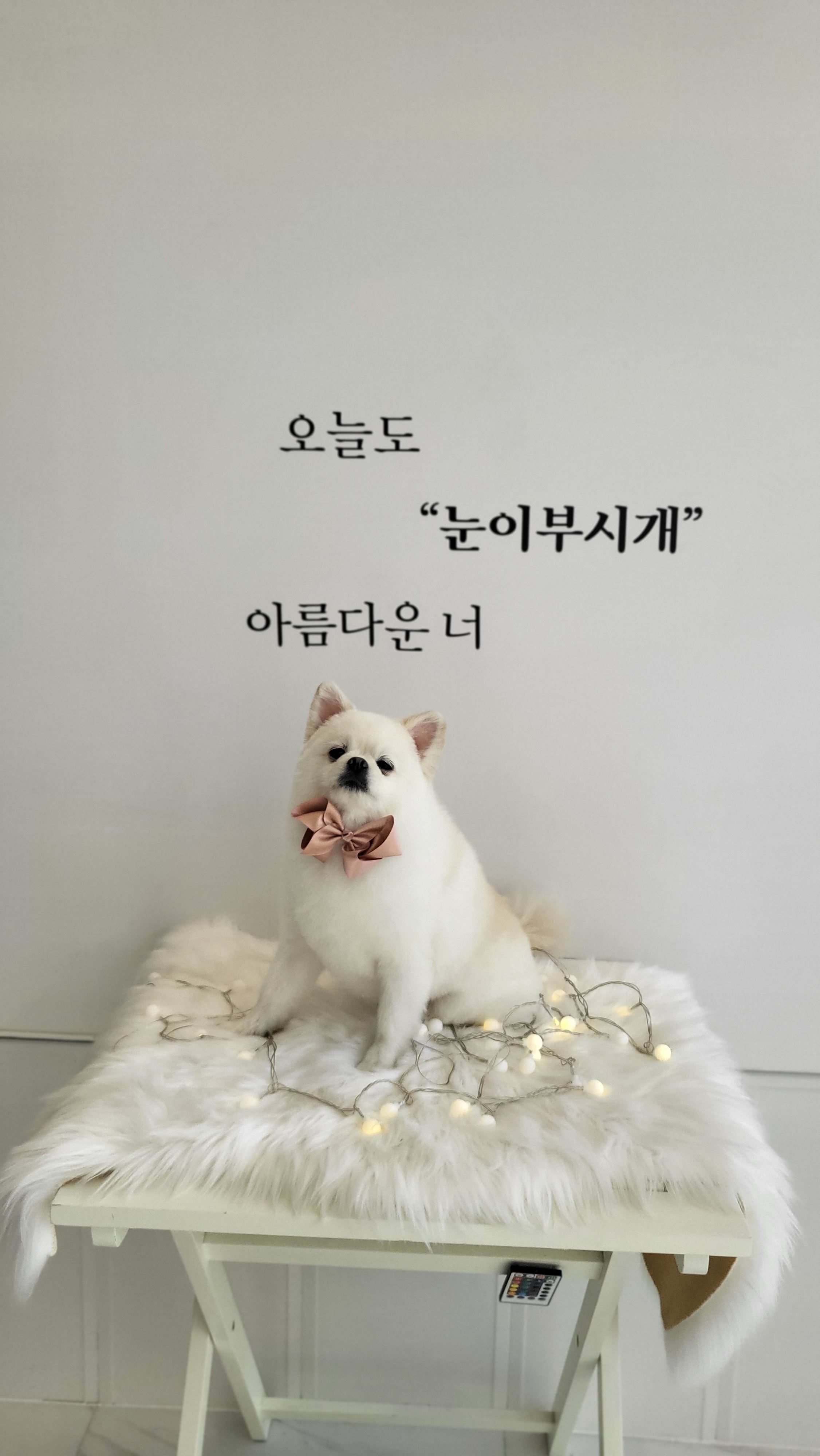 눈이 부시개 3
