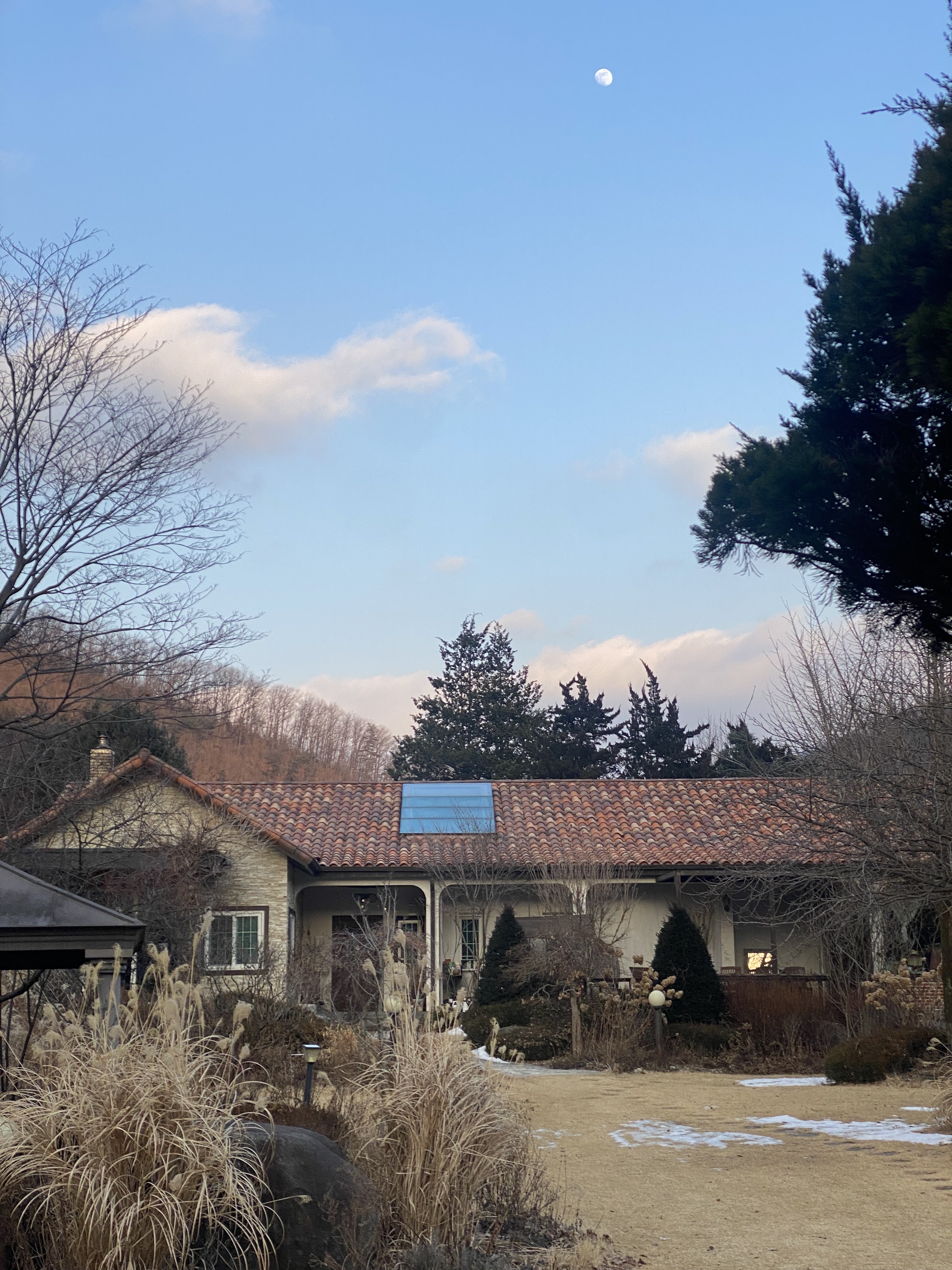 향기나는뜰