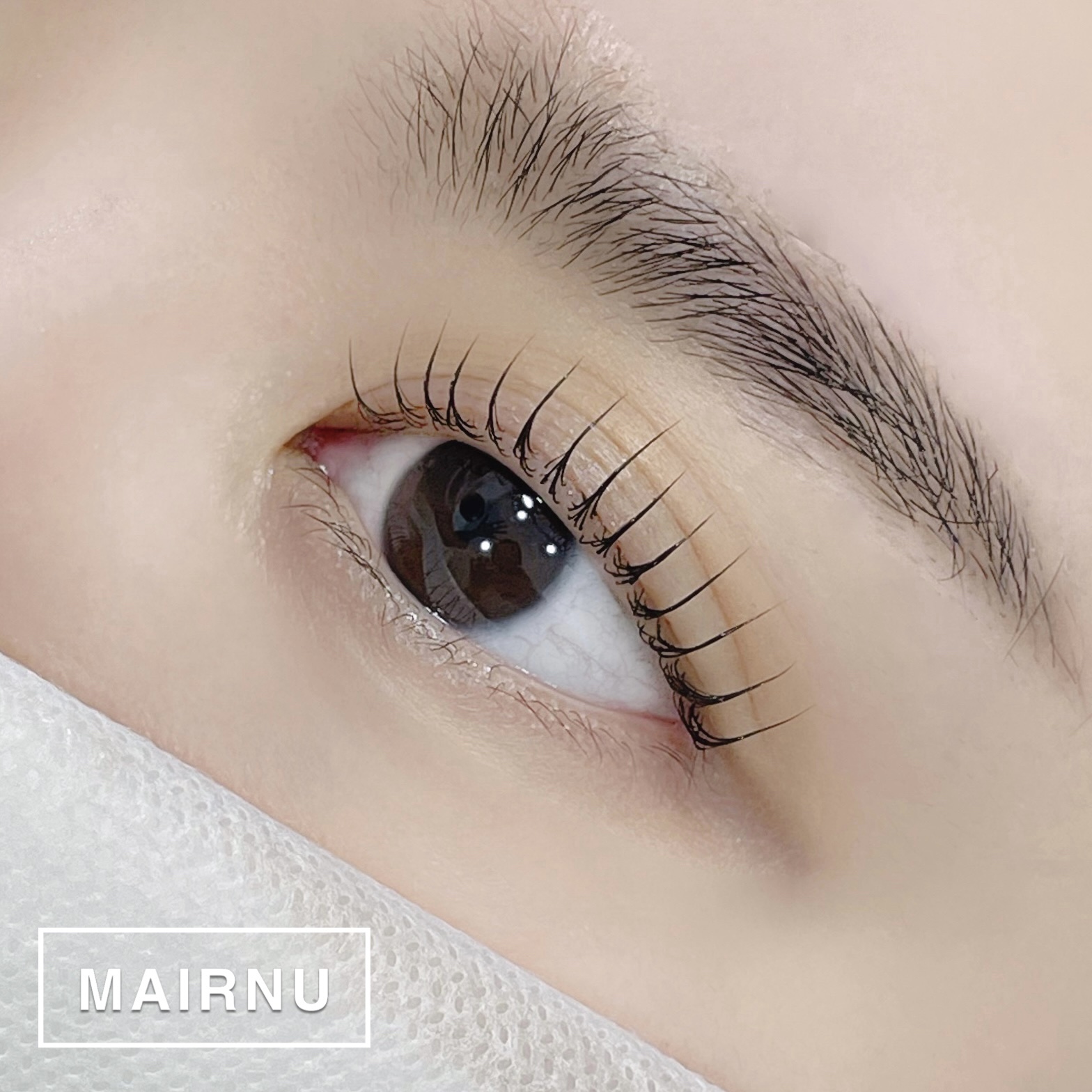 마린유래쉬 대표 이미지