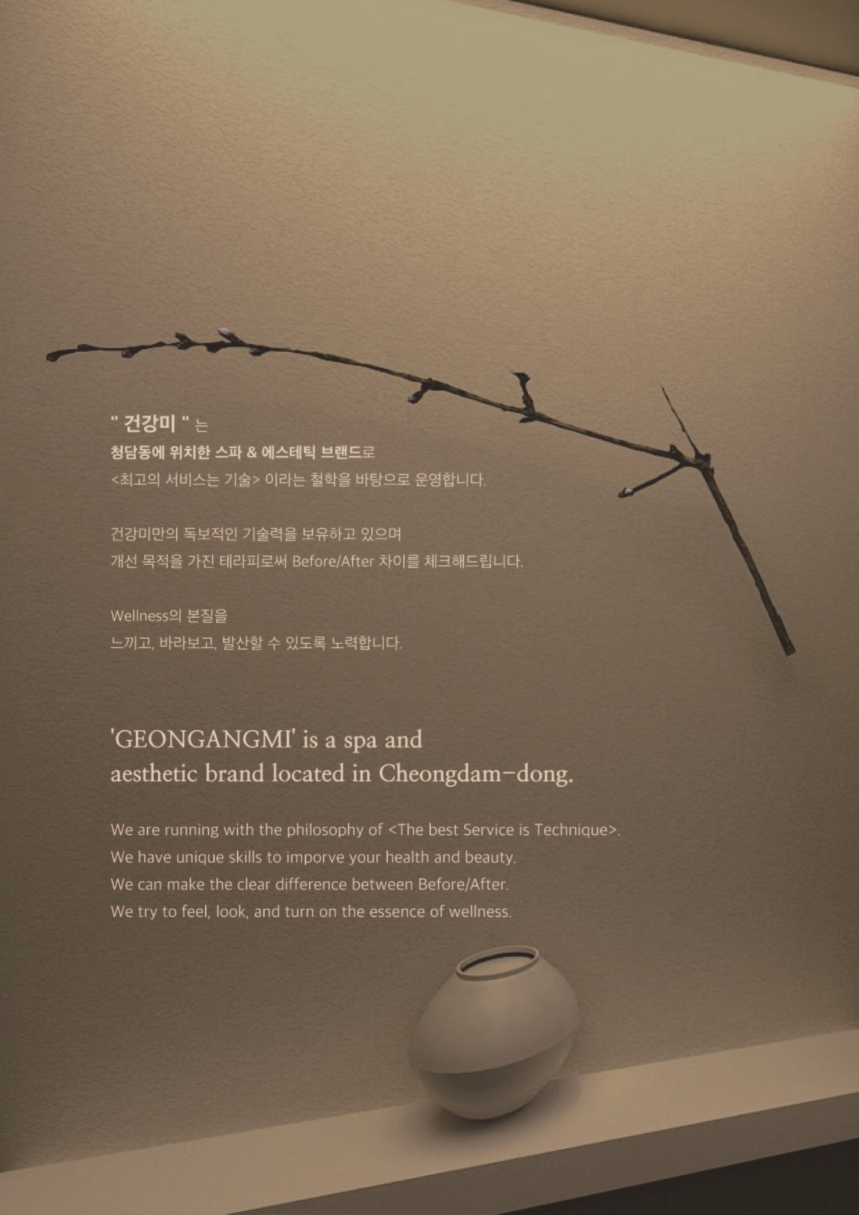 건강미스파 청담점
