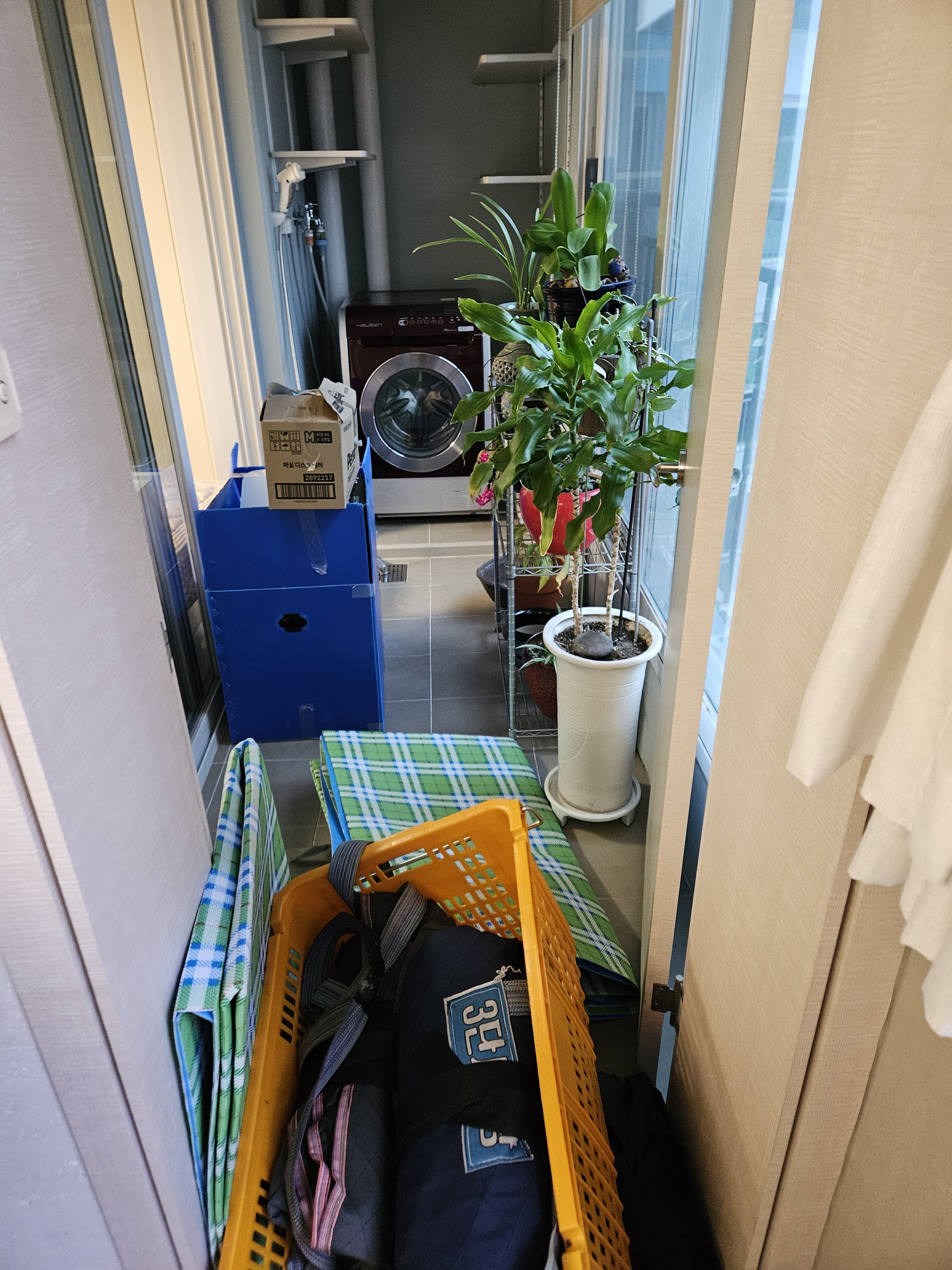 대구이사 대표 이미지