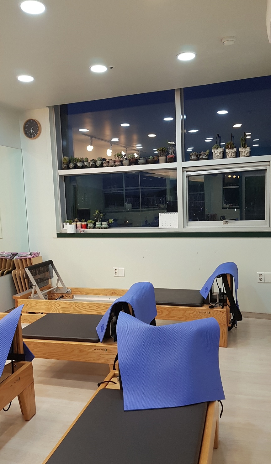 더요가필라테스 울산교육관 대표 이미지