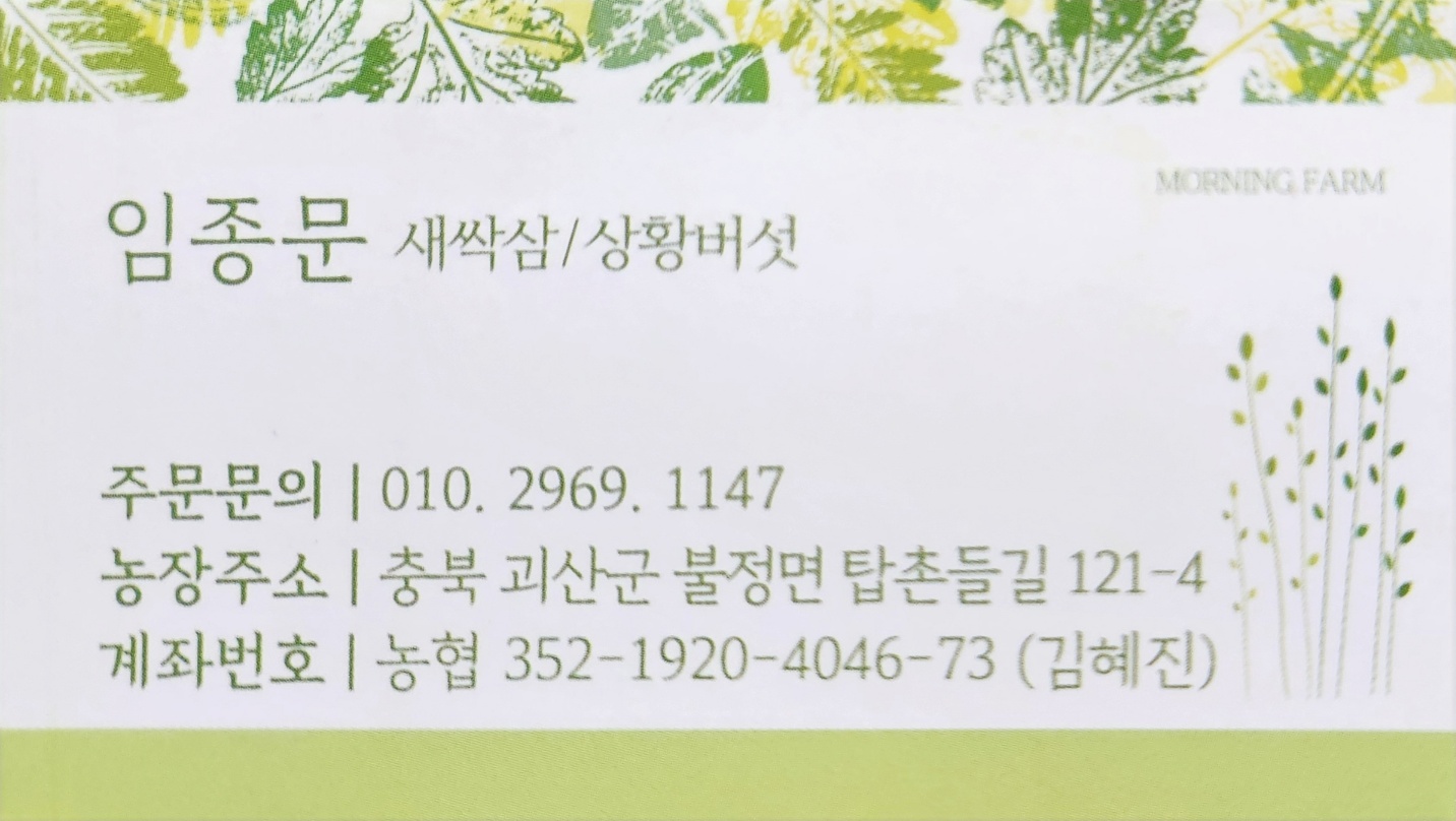 요약 정보 이미지