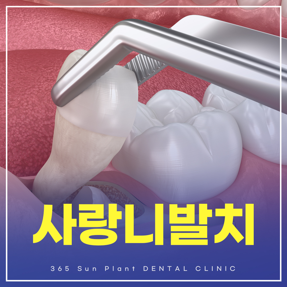 365선플란트치과의원 대표 이미지