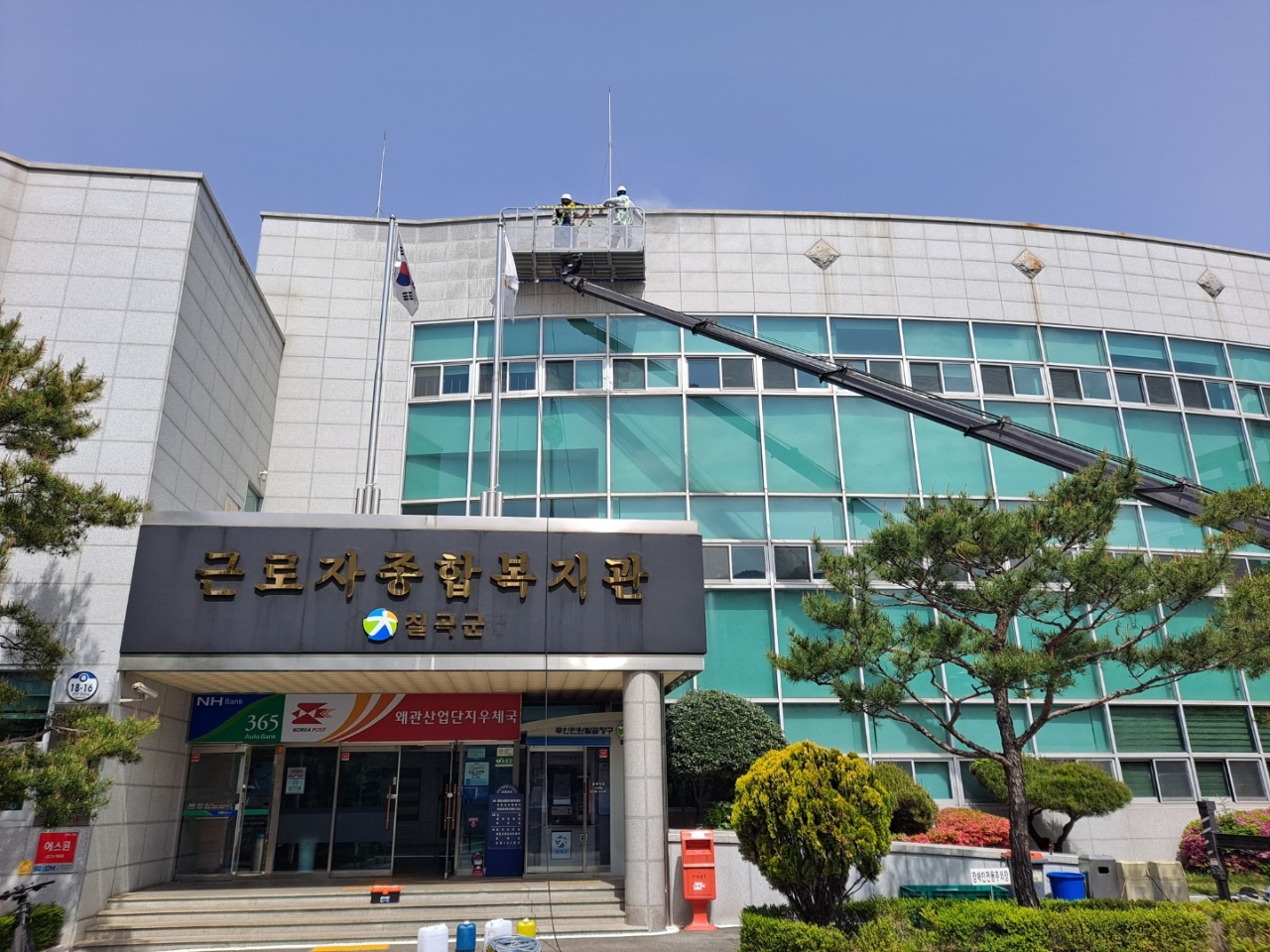에코시스템