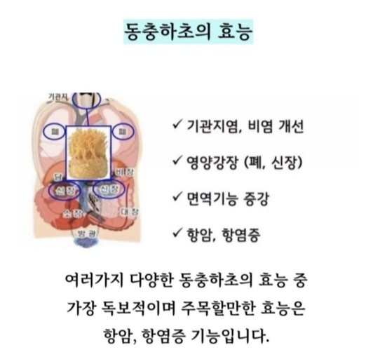 큐사랑 구성점