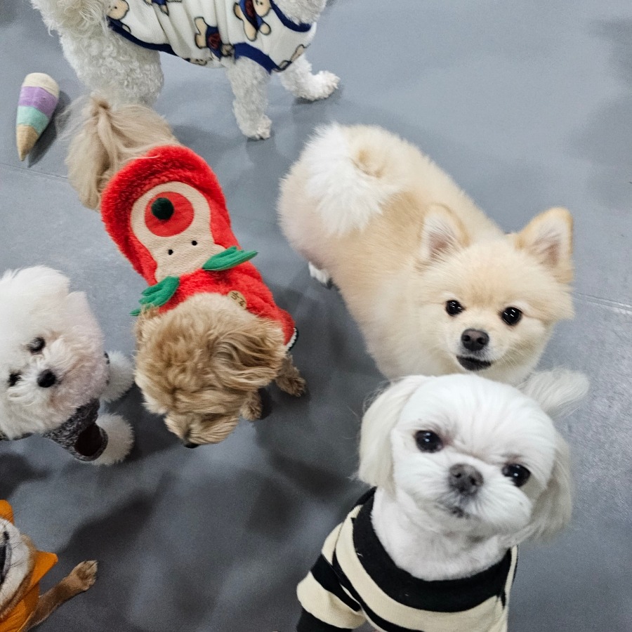 나와놀개 보령본점 대표 이미지