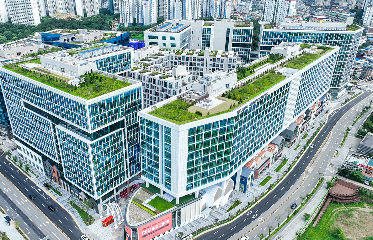 애몰라이트 대표 이미지