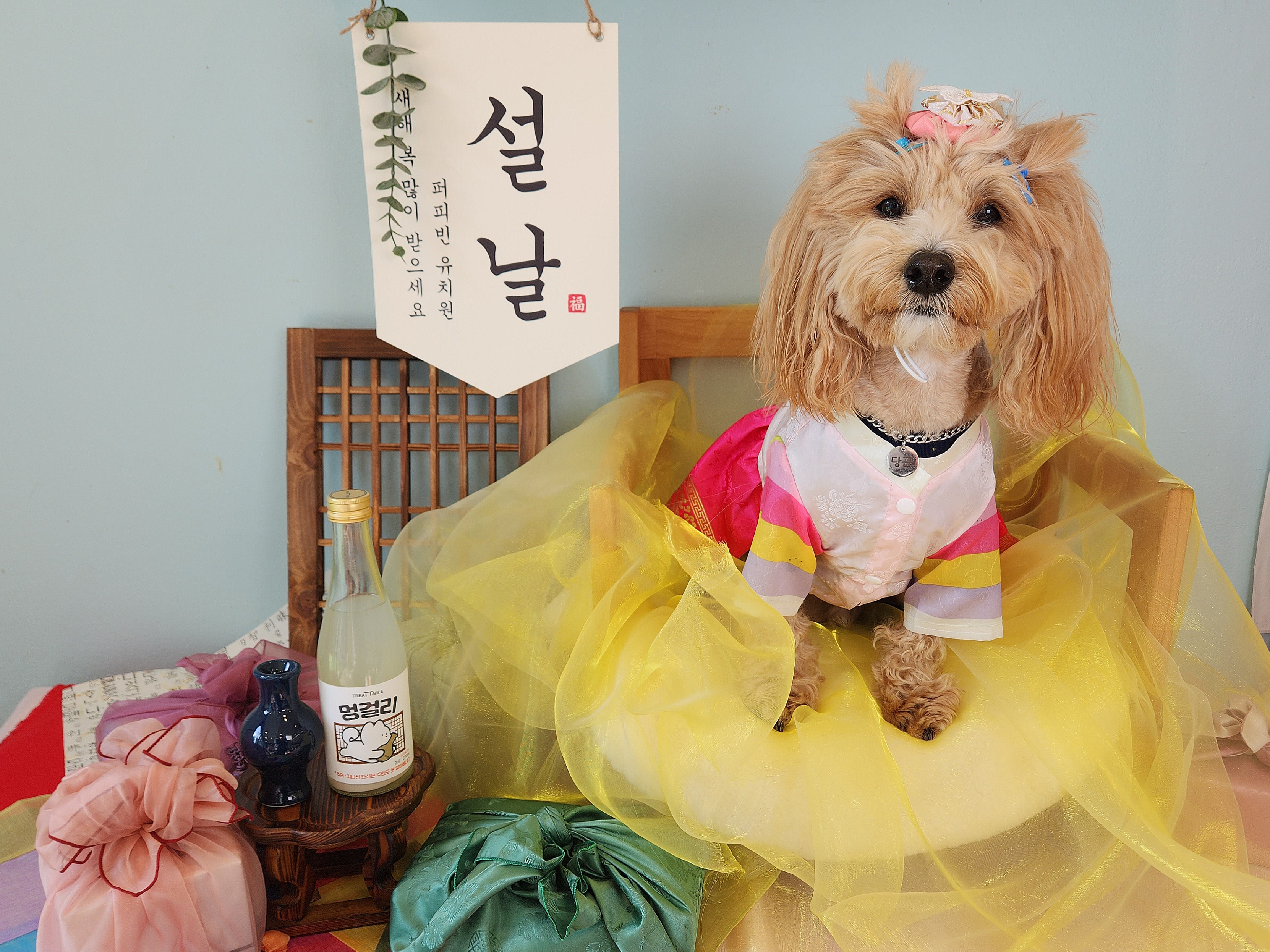 퍼피빈 사진 2