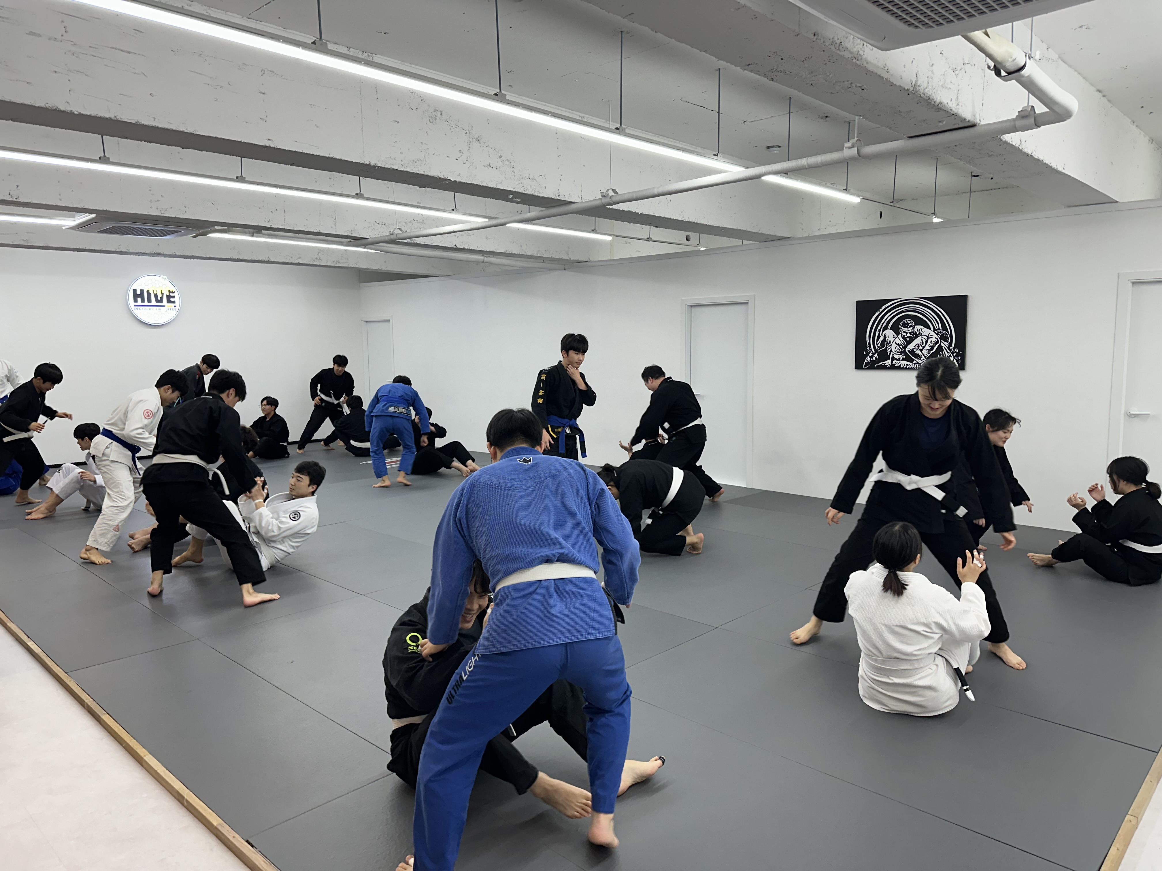 창원 하이브주짓수