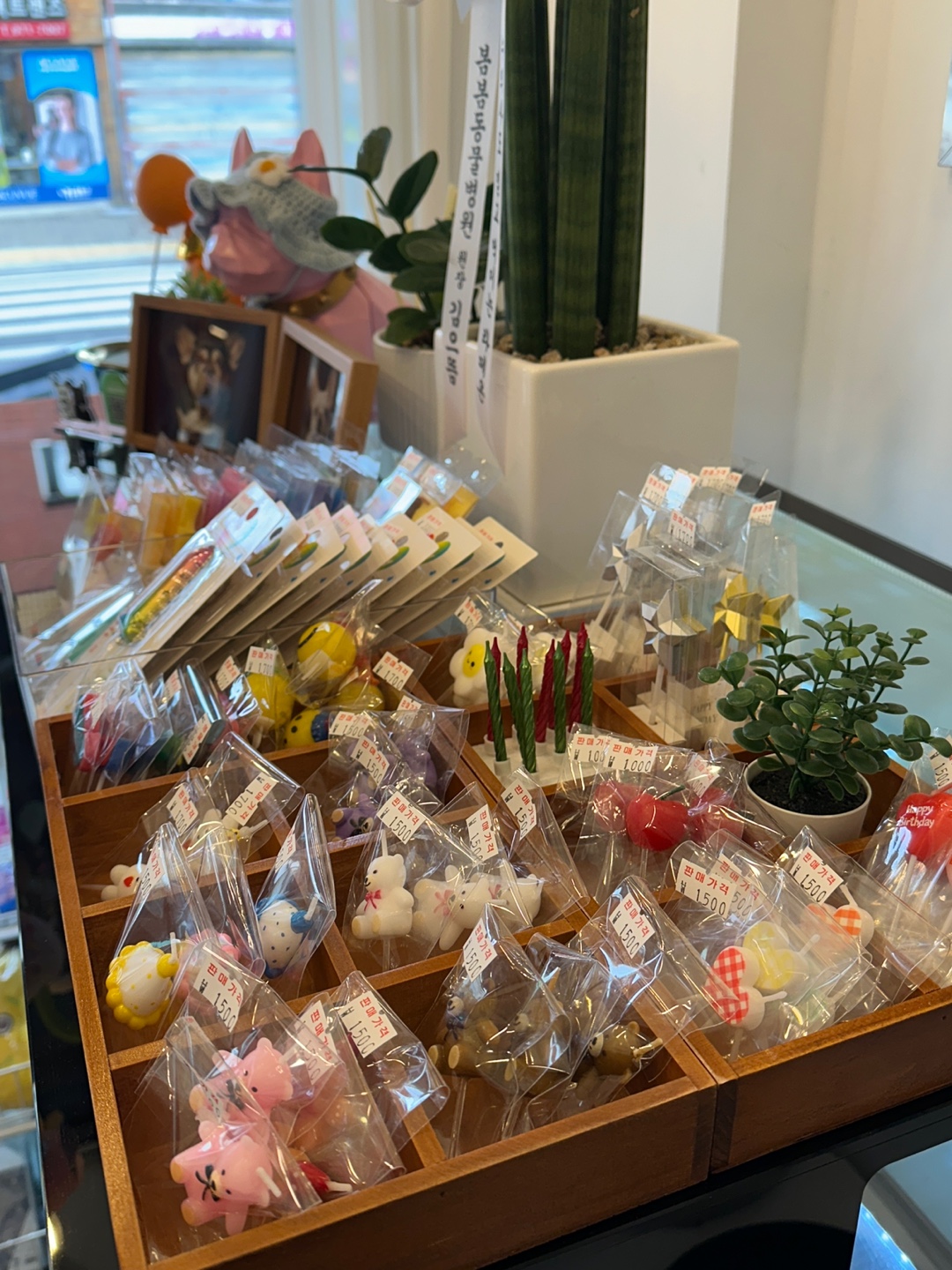 라떼온 대표 이미지