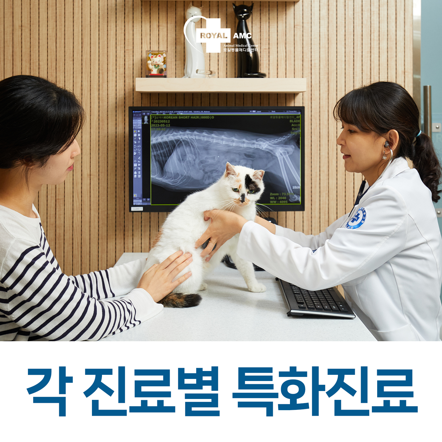 로얄동물메디컬센터 본원 대표 이미지
