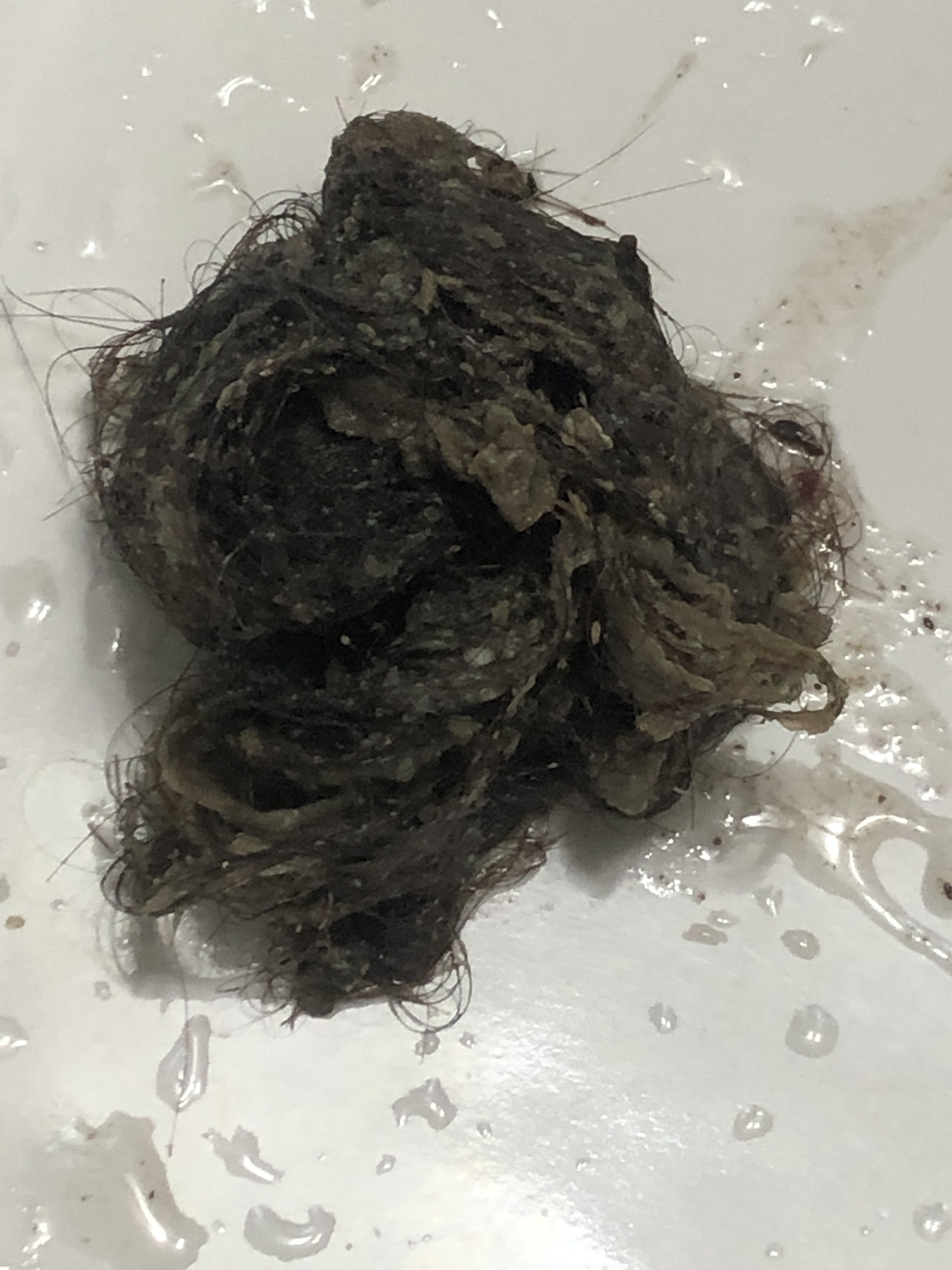 변기막힘싱크대막힘하수구막힘역류고압세척