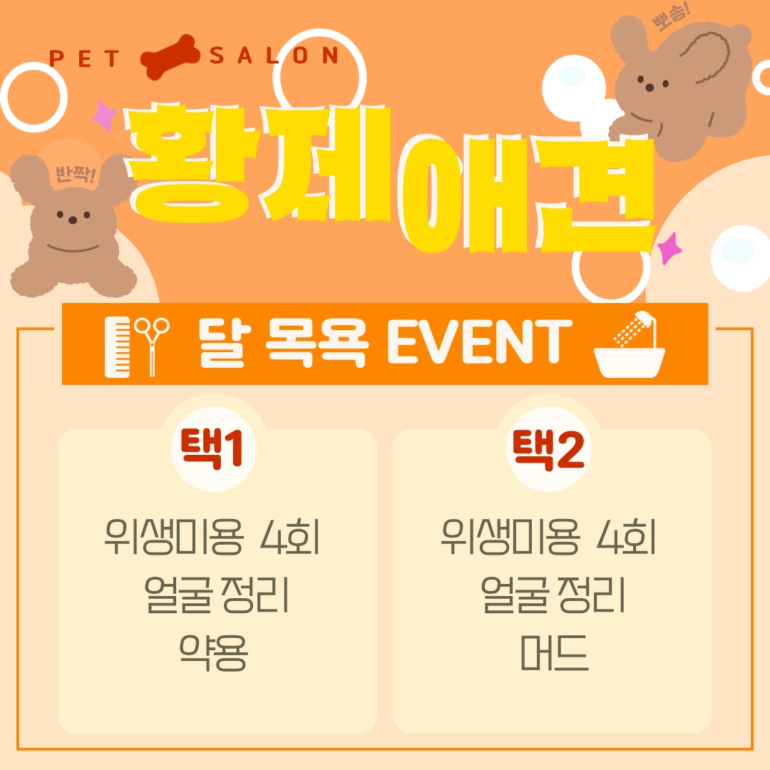 황제애견