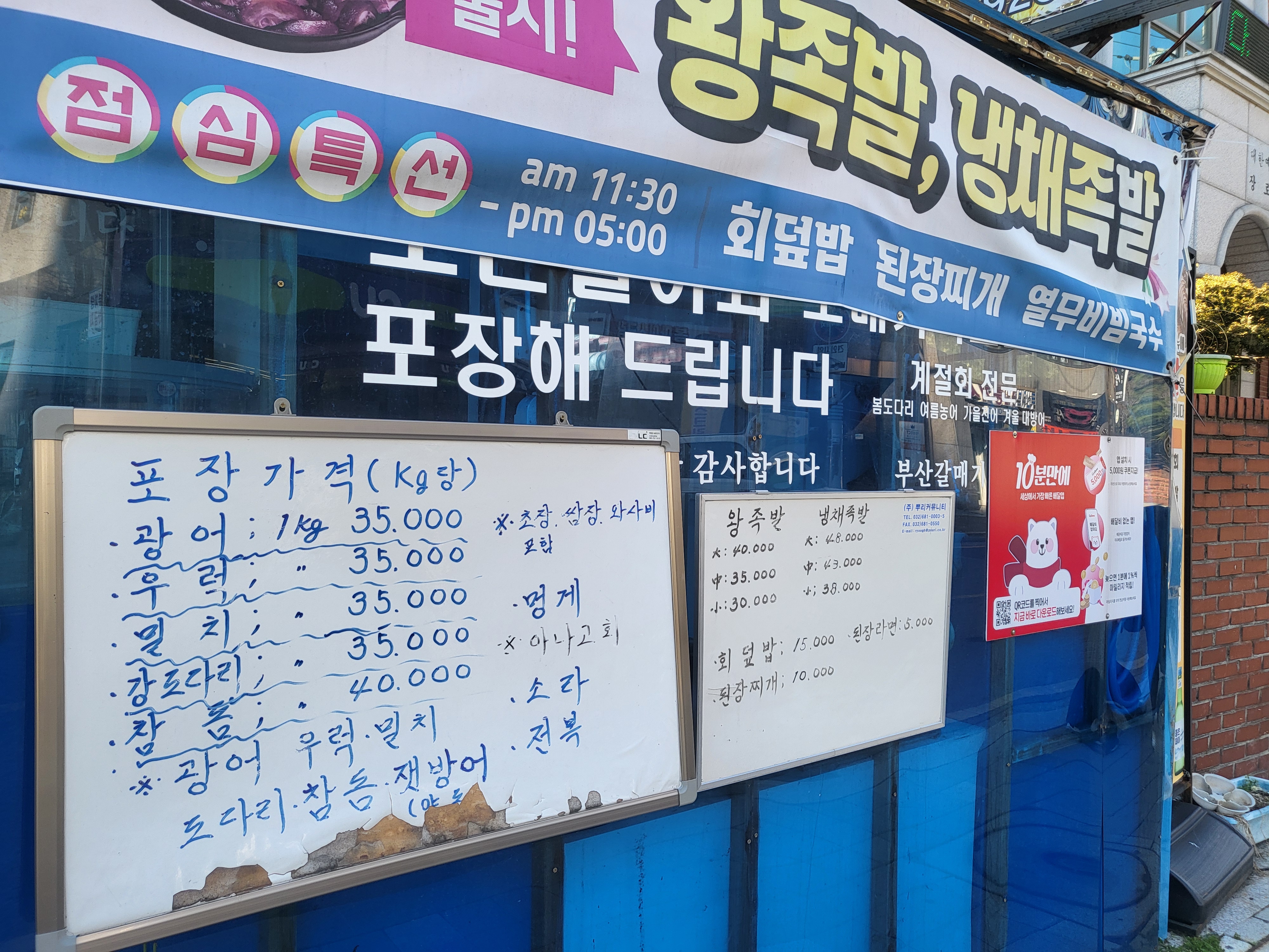 부산갈매기