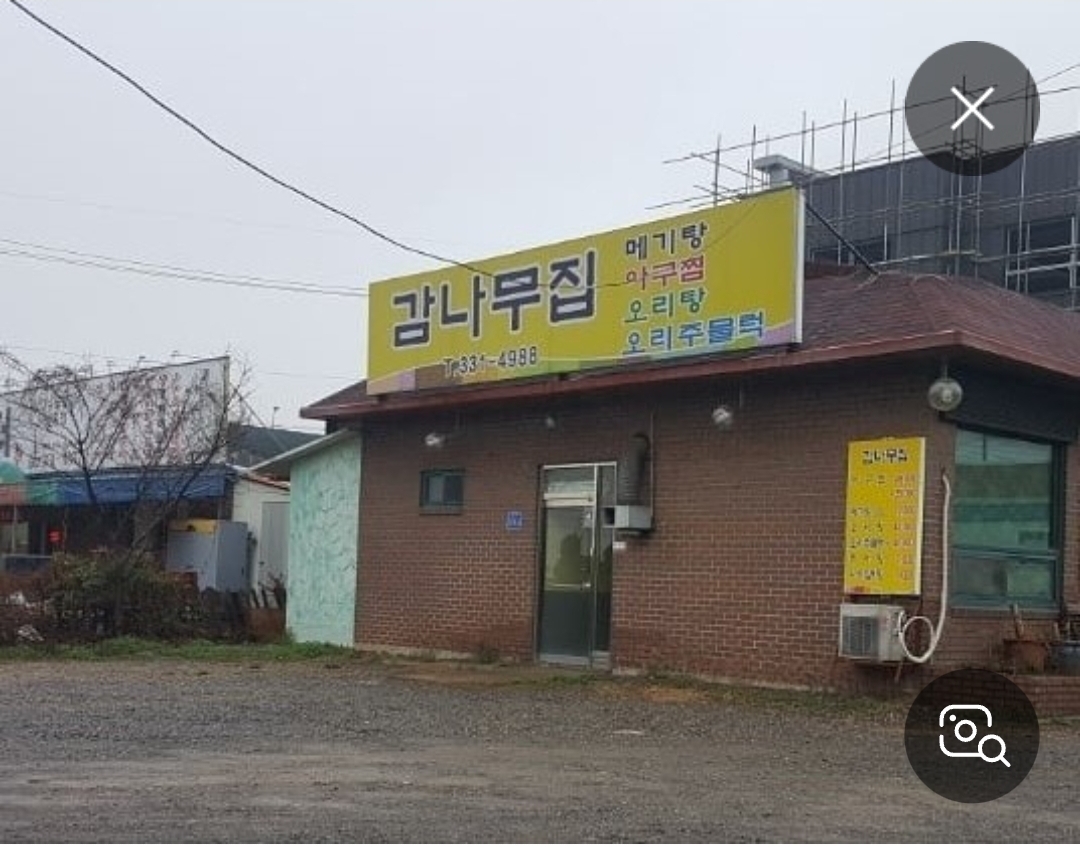 감나무집
