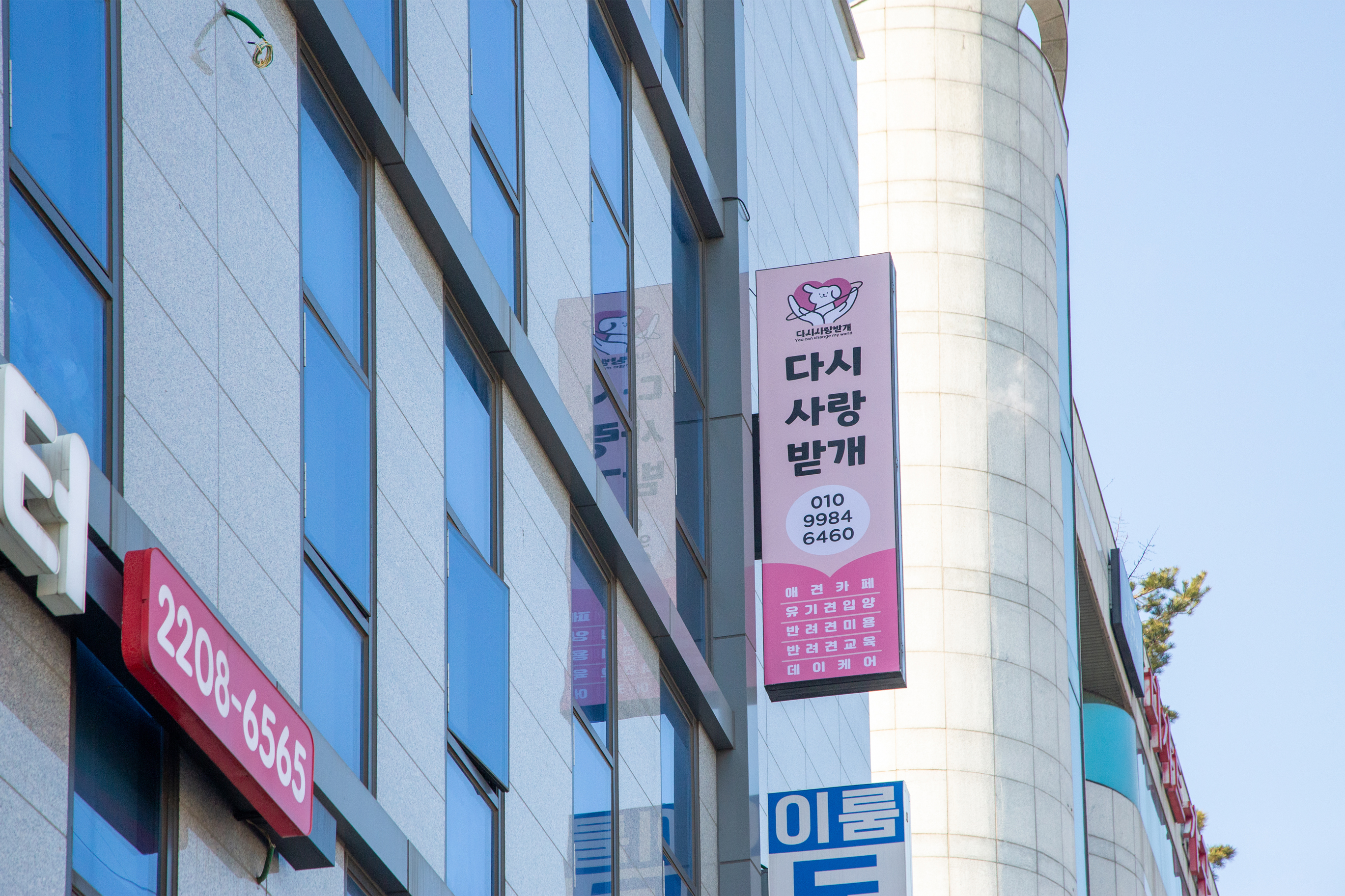 다시사랑받개 2