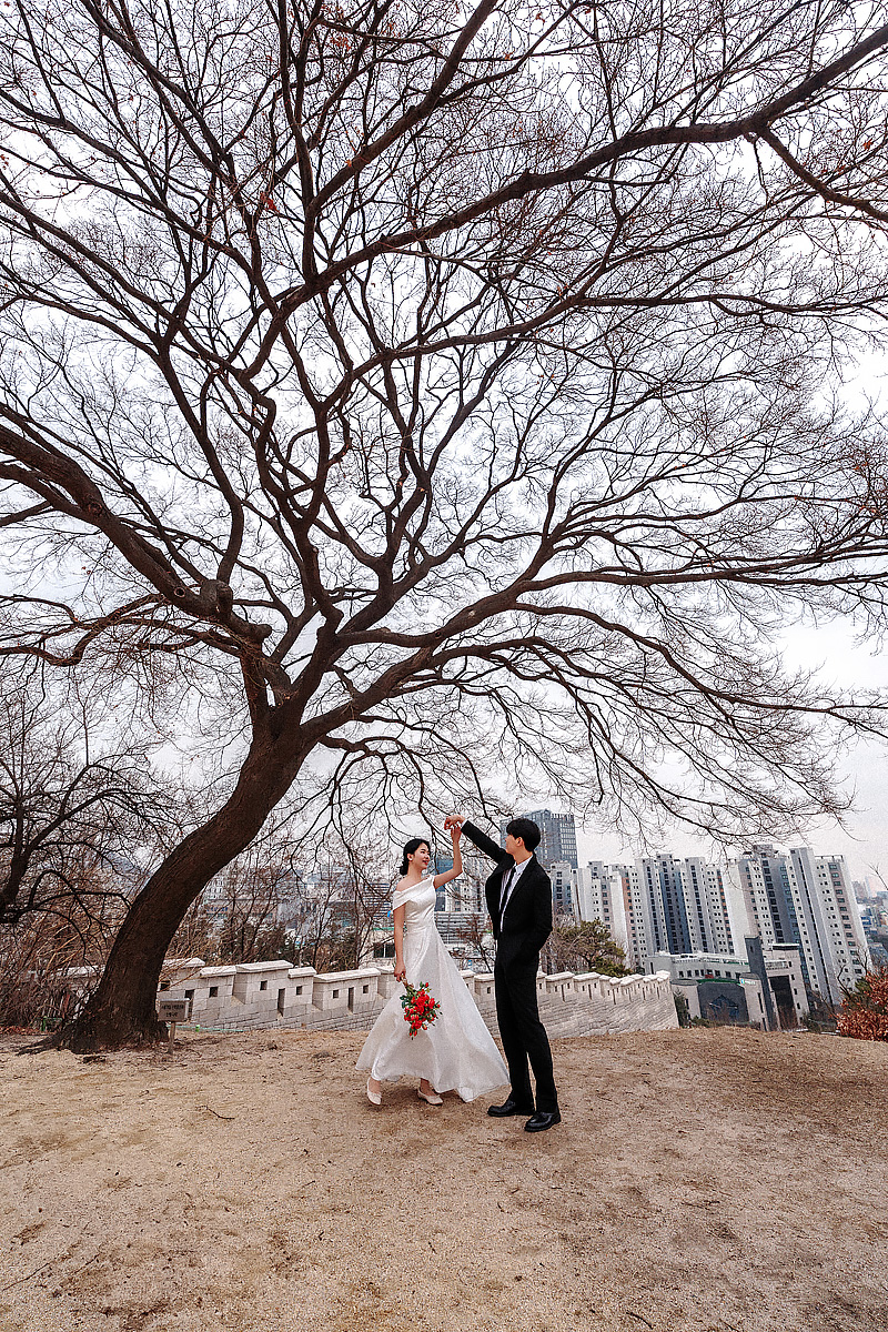 모스앤코튼 대표 이미지