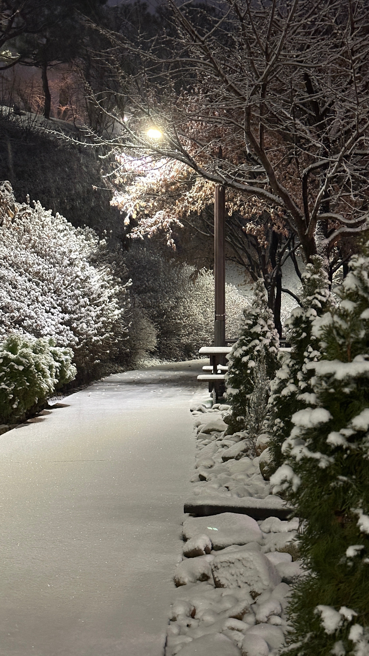 수도사니아 2