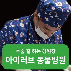 아이러브 동물병원 대표 이미지