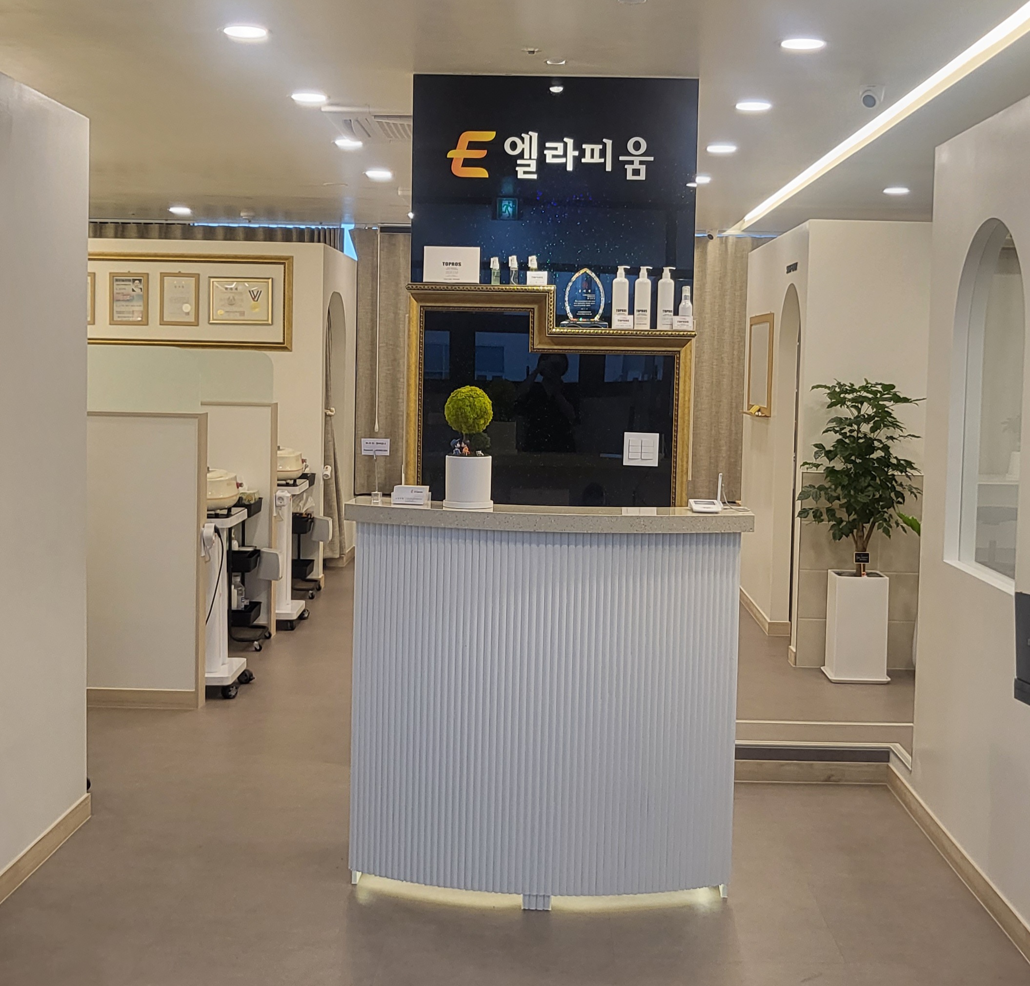 엘라피움 대표 이미지