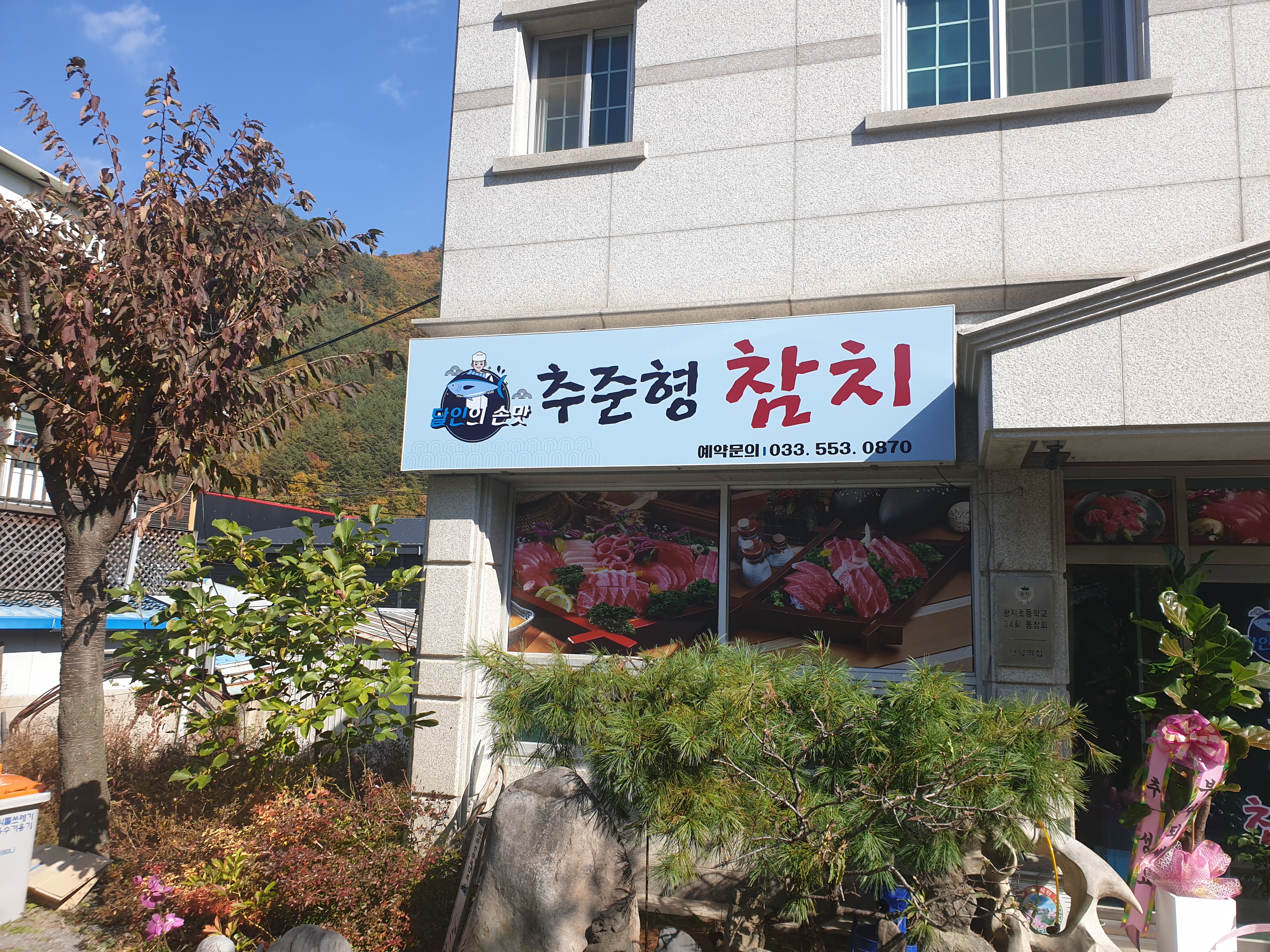 추준형참치